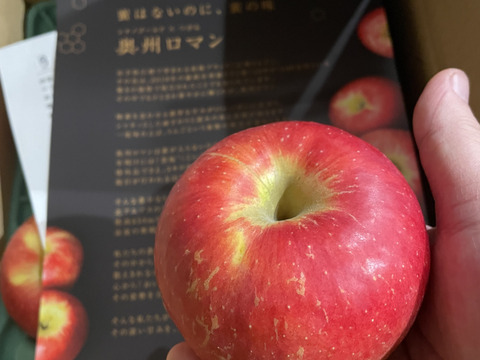 本当にラスト5ケース🙇 満点青空レストランで話題です🍎【りんごの概念変わります】奥州ロマン 3キロ箱 6玉〜15玉 長野県 信州 安曇野 リンゴ 幻  希少  甘い 幻の林檎  ID52109