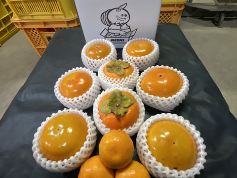 １週間限定販売！【西果樹園の富有柿】８個