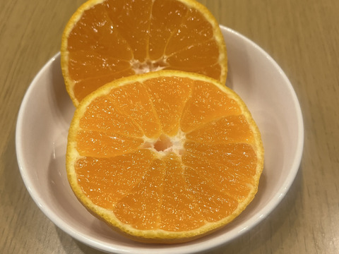 訳あり 不知火(デコポン)同品種2kg