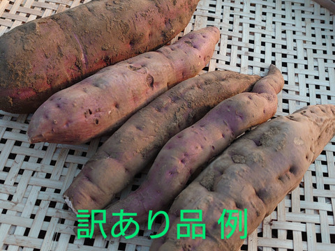 ホクホクベニアズマ芋苗200本セール - メルカリ