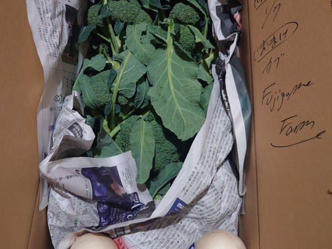 赤城の寒締めブロッコリー！９コ入り(約３kg）※化学農薬不使用