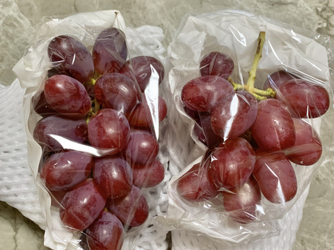 長野県限定品種！クイーンルージュ1房（約500g）