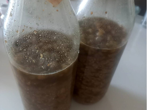 醤油作成キット（500ml分）