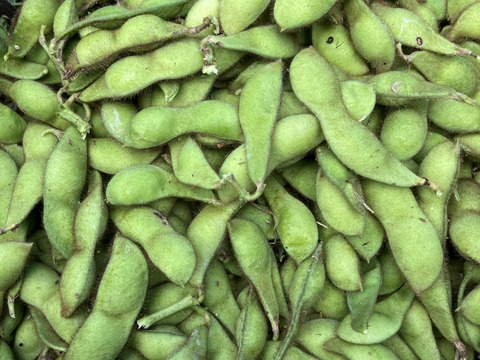 丹波黒枝豆さやのみ１kg（500g袋x ２）自然栽培　農薬化学肥料完全不使用！【完売！】