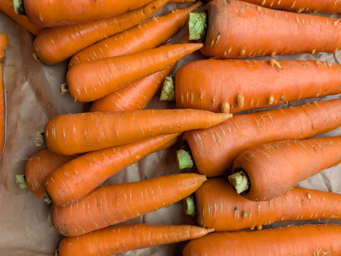 博多の夏ニンジン  2kg