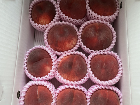 夏ギフト　【超新鮮桃】3kg　8～14玉【ASIAGAP認証農場：津軽農園】安心・安全な桃　収穫した日に発送　家庭用　農家直送【朝どれ】