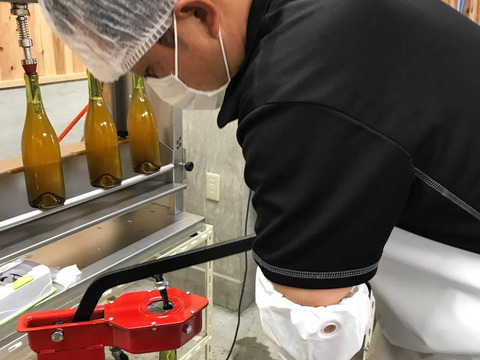 【720㎖１本】南アルプス上宮地産甲州ぶどうを赤ワインの如く果皮ごと醸すオレンジワイン「天空甲州」