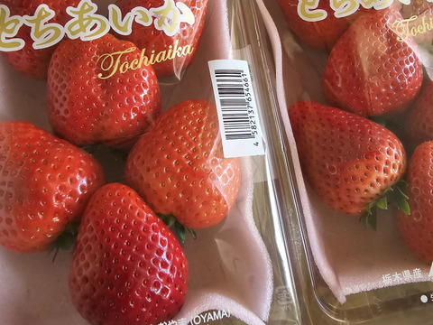 『大粒とちあいか』フレーズのこだわりいちご280×2パック