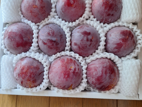 【７月収穫・１箱約1.8kg10玉前後】別格のすももは南アルプスにあり！「貴陽」山梨県南アルプス落合産