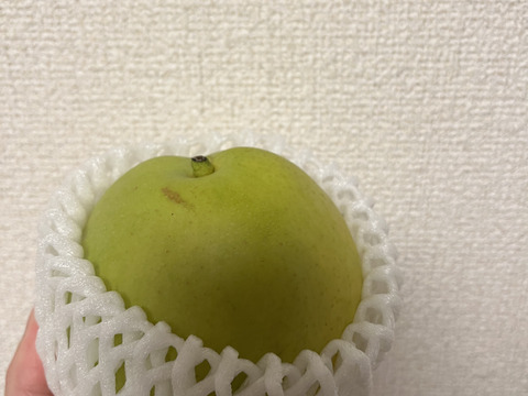 【鳥取県産】なつしずく　梨　約2kg