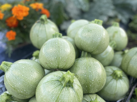 【栽培期間中：農薬不使用】季節の彩り野菜セット　Lサイズ