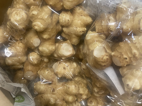 ＜自然栽培の菊芋　２ｋｇ＞肥料不使用、農薬も不使用、自家採種でやさしい甘さ　アクが少なく！生食も美味の≪菊芋≫を八ヶ岳南麓よりお届けします