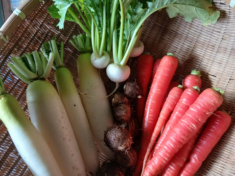 お正月セット3～4品