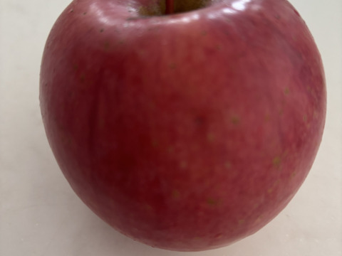 【ご予約】溢れんばかりの果汁！！当農園人気No.1 サンふじ【ご家庭用】10㎏
F-k10