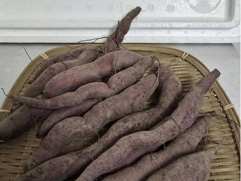 訳アリ・ペット用】栽培期間中農薬不使用希少品種 細いあまはづき10kg