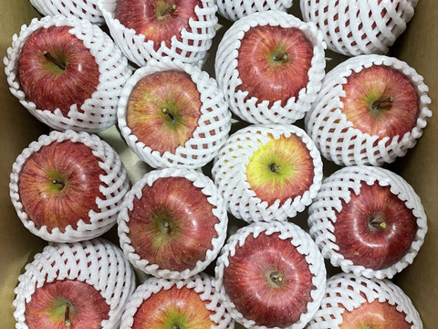 助けてください　激安葉取らず
サンふじ家庭用　訳あり５キロ