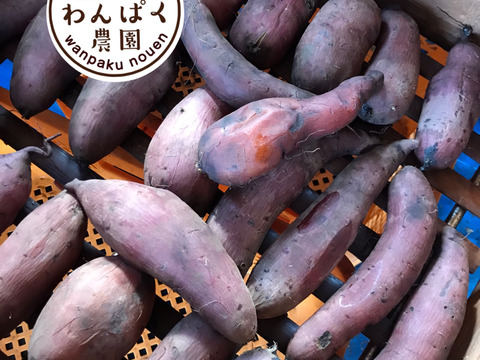 ねっと〜り極甘‼️絶品3種の干し芋‼️食べ比べ‼️130g✖️3袋