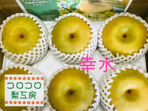 幸水梨 ①】甘い‼️まるで梨ジュース💦贈答用約2.2kg(大玉4~6個