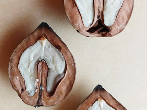 【鬼くるみ】新潟県産 和クルミ 割り胡桃 農薬および化学肥料栽培期間中不使用 除草剤不使用 希少在来種 600g