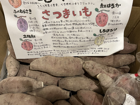 ★10kg★土佐紅　南国高知のサツマイモ