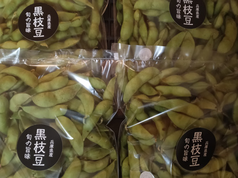 今季最終〜お手軽ポストに新鮮丹波黒大豆枝豆
お得品700g