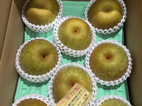がばいうまか梨、3キロダンボール箱🍐7～10玉入り　販売開始