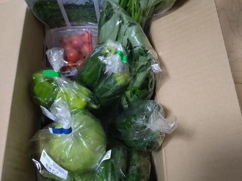 信州夏野菜セット【10品目】