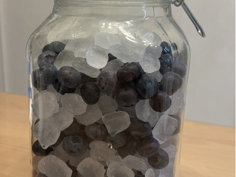 農薬不使用 冷凍ブルーベリー１キロ 信州長野県産 毎日の食卓に♪