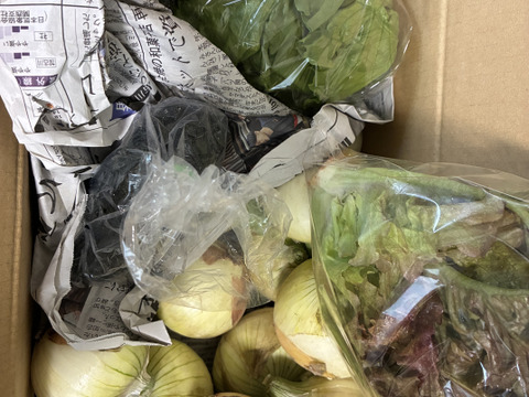 大好評，地層が違う淡路島、訳あり新玉ねぎ七宝早生(風袋込み3キロ)