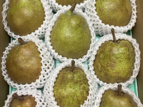 【訳ありラフランス】3kgご家庭用(８～１０個)