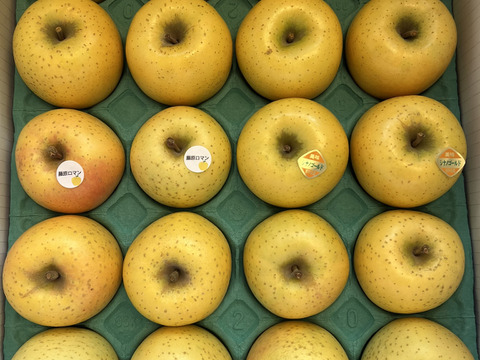【黄色いりんご食べ比べ】　シナノゴールド・藤原ロマン　家庭用小玉 約5kg（20～23玉）