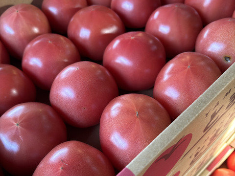 完熟！桃太郎トマト🍅4kg