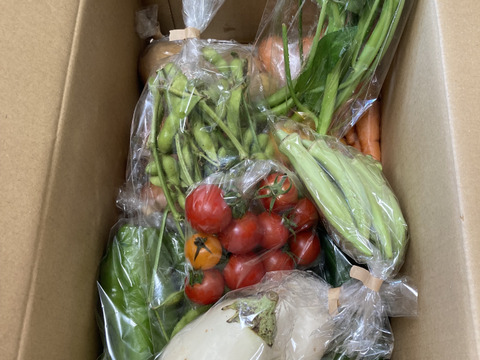 Lサイズ ＊旬野菜セット(約10~11品)【農薬：栽培期間中不使用】