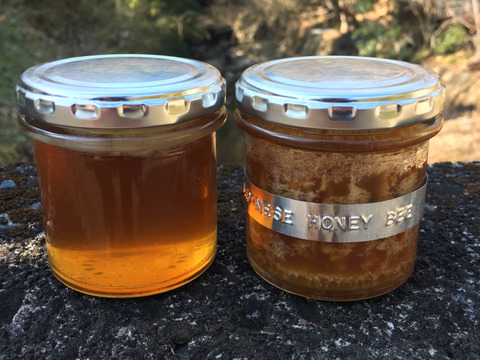 【夜市限定】日本蜜蜂のハチミツ（絞り蜜/150g）　※一般的たれ蜜とは異なる栄養成分　強力な圧をかける事により抽出に成功！余す事無く自然の恵みを… 【老い知らず】