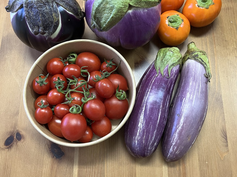 【お得！野菜おまとめパックA】
  農薬不使用　
　トマト400g x 1p、ナス3種類　計 7個