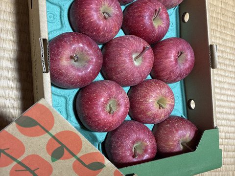 さんフジ 山形 朝日町産 小玉 りんご 約3kg   1級品 贈答用 家庭用 リンゴ