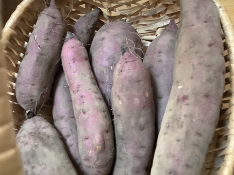 【値下げ】ねっとり紅はるか【栽培期間中農薬不使用・自然栽培】大小ミックス（3㎏）