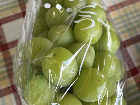 【家庭用】甘さに自信あり！ シャインマスカット