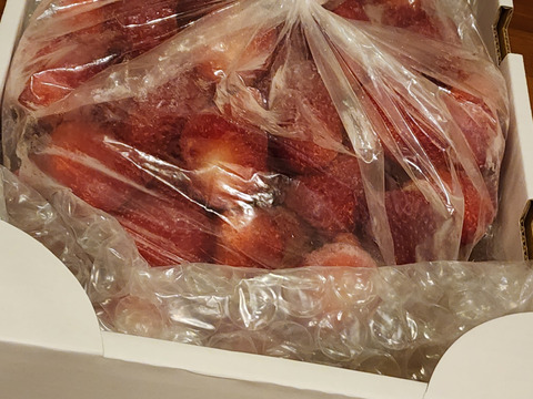 【大阪府産】冷凍いちご  1kg " 紅ほっぺ "