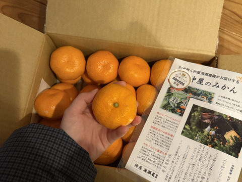 【アワード受賞】2/28より順次発送 高糖度系の本格貯蔵みかん『寿太郎』 サイズ混合 3kg 西浦ブランドみかん 仲屋 海瀬農園