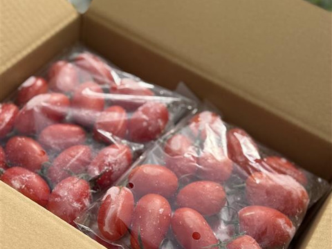 皮むき不要！すぐ使える冷凍ミニトマト（福島県おおくま産）