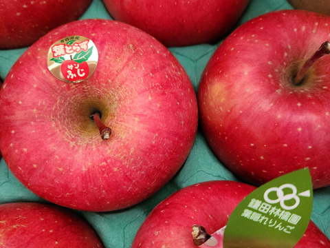 個性派りんご🍎葉隠れサンふじ  冬ギフトにもどうぞ（9個～12個）3キロ箱使用