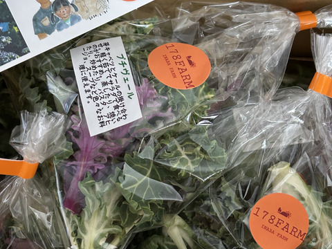 冬の恵 「プチヴェール」2〜3種ミックス80g×5袋