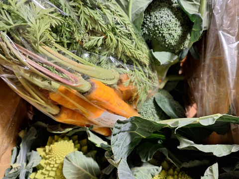 ぶろまねセット（ブロッコリー５個＆ロマネスコ２個）