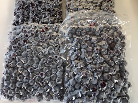 少しだけ訳あり特価！【滝波様専用冷凍ブルーベリー4㎏】