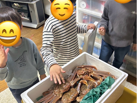 天然本ズワイガニが獲れたて生で届く！マイナー産地新潟産約4キロ入り