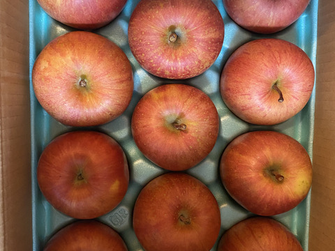 今でもパリパリ！！リンゴの王様『サンふじ』ご家庭用秀品約３kg　スマートフレッシュでもぎたて鮮度そのまま！