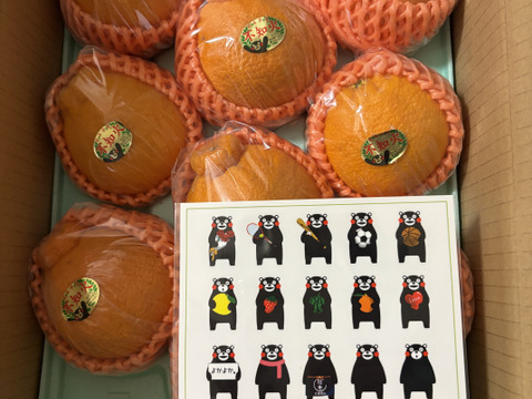 めちゃ大人気❗️不知火デコ柑2、5キロ7〜11玉