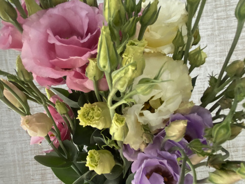 【６本／トルコキキョウ】柔らかな色合いと、上品な花姿が魅力のトルコキキョウ。蕾つき！産地直送、プレゼントOK!仏花にもオススメ！