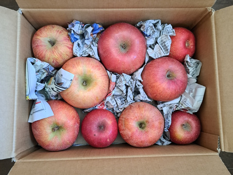 まるせい果樹園の節分りんご　訳あり　6㌔　自家用　家庭用　hs1